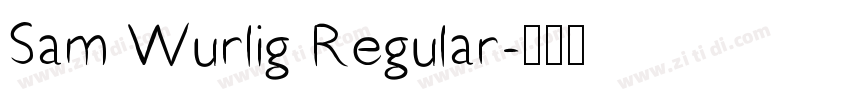 Sam Wurlig Regular字体转换